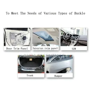 Random Mixed Universal Car Fender Plastic Clips
