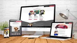 Website Design