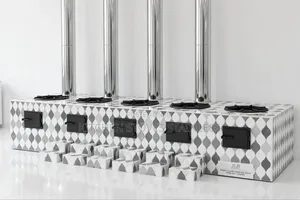 5-Burner Institutional Energy Saving Stove