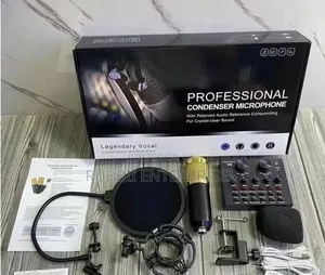 Professional Condenser Microphone