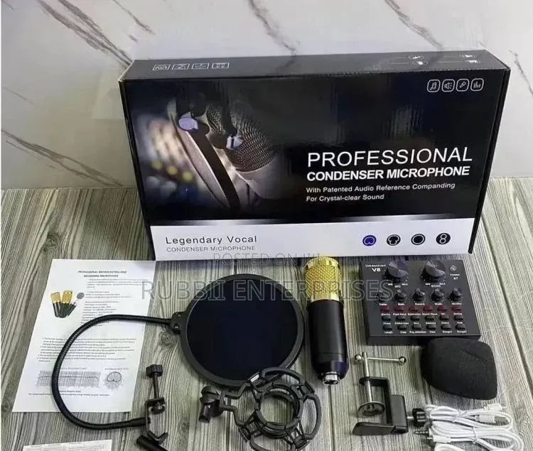 Professional Condenser Microphone