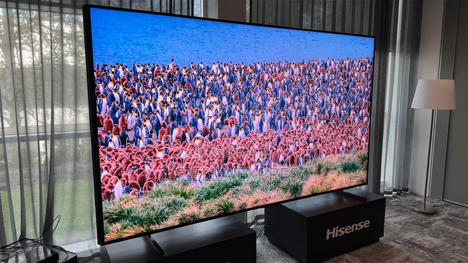 Hisense 116inch Smart TV 116UX Television