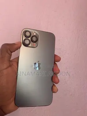 Apple iPhone 12 Pro Max 256 GB Gray