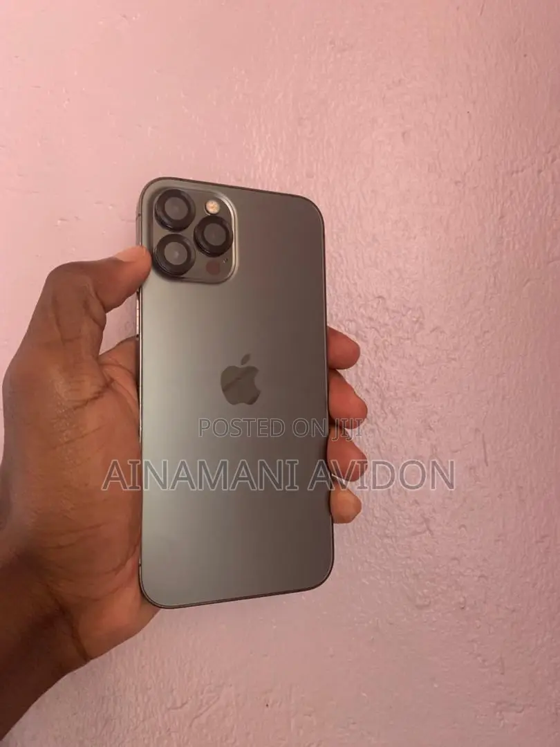 Apple iPhone 12 Pro Max 256 GB Gray