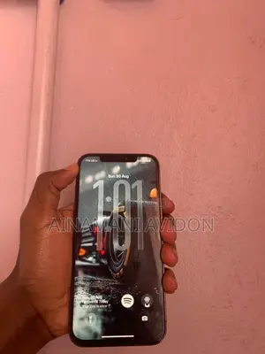 Apple iPhone 12 Pro Max 256 GB Gray