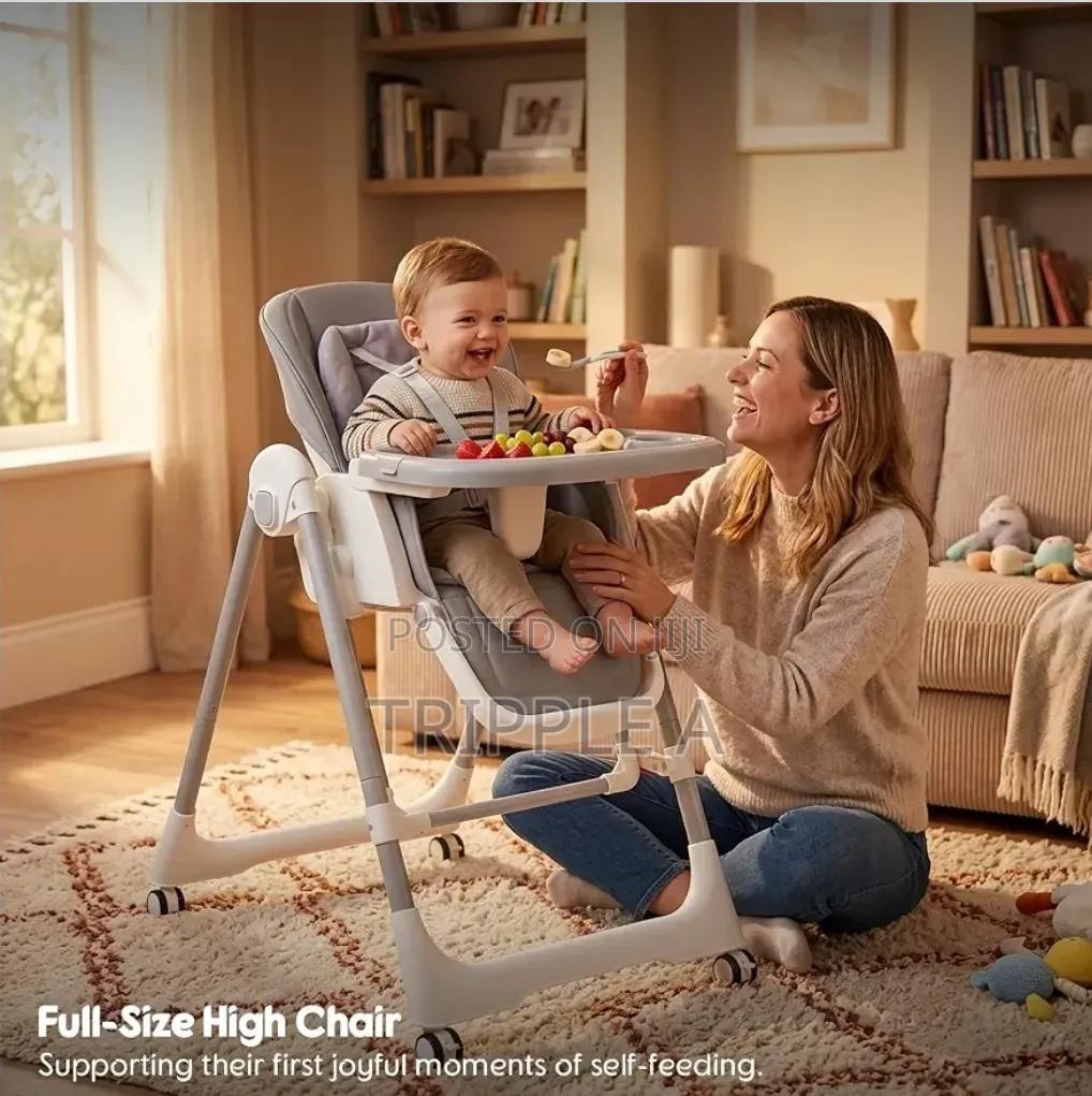 2 in 1 Swing and Chair