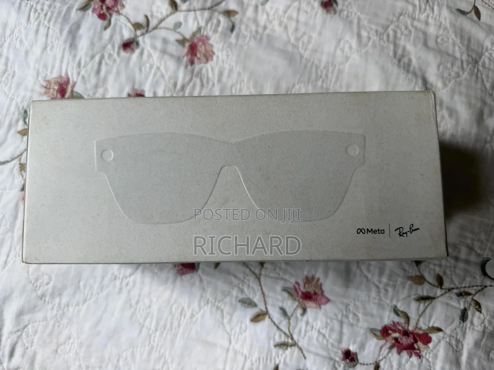 Meta Ray Ban Display AI Glasses