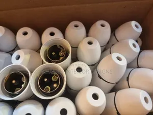 Bulb Holder Ring and Pin