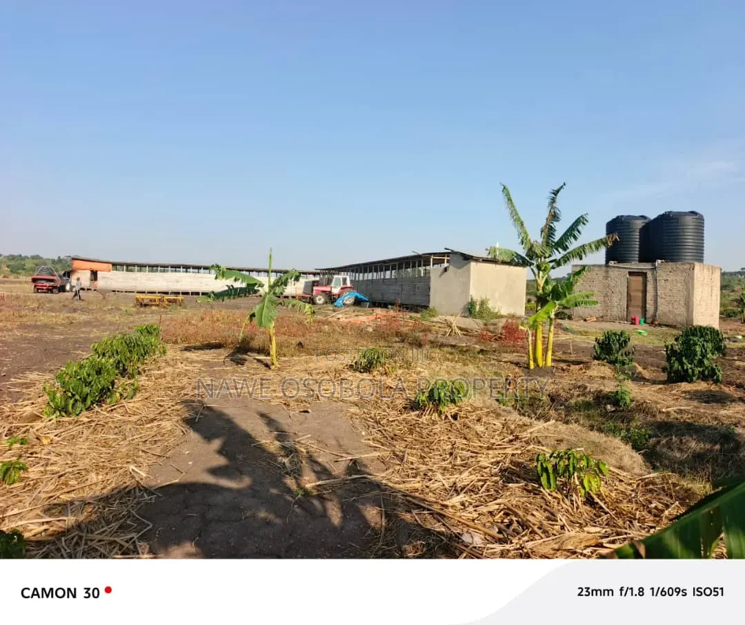 45 Acres of Coffee for Sale @25m in Kyetume-Lwengo
