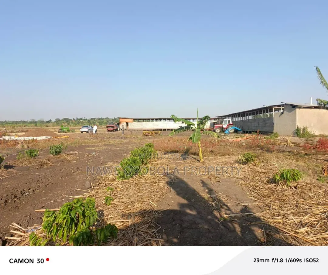 45 Acres of Coffee for Sale @25m in Kyetume-Lwengo