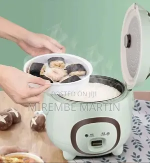 Aide 1.6L Compact Smart Electric Rice Cooker