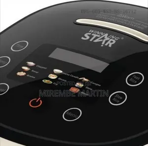 Winningstar Modern Compact Electric Rice Cooker