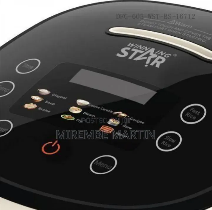 Winningstar Modern Compact Electric Rice Cooker
