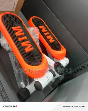Mini Stepper Machine