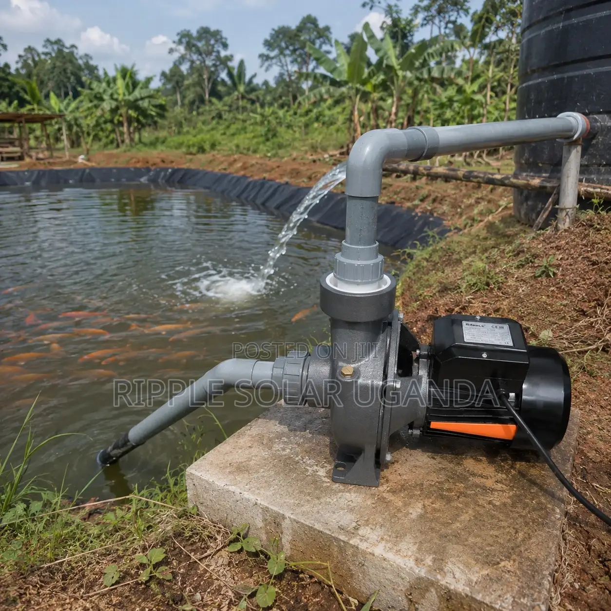 Fish Pond & Livestock Water Pump Solutions 550W–2200W