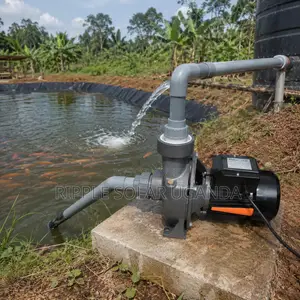 Fish Pond & Livestock Water Pump Solutions 550W–2200W