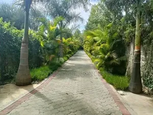 Expert Compound Designers and Gardening Specialists