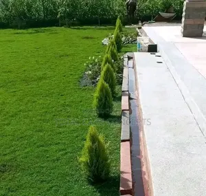 Expert Compound Designers and Gardening Specialists