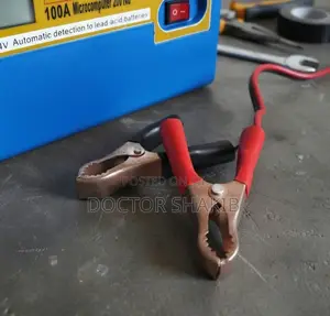 100A Microcomputer-Controlled LCD Smart Car Battery Charger