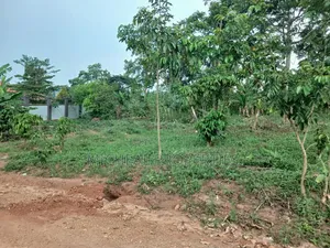 100ft by 100ft for Sell Kasangati Nalusuga at 100m