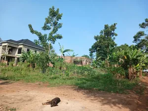 23 Decimals for Sell Location Kasangati Nangabo at 160m