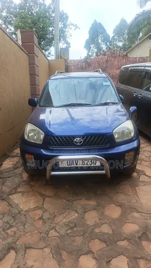 Toyota RAV4 2004 Blue