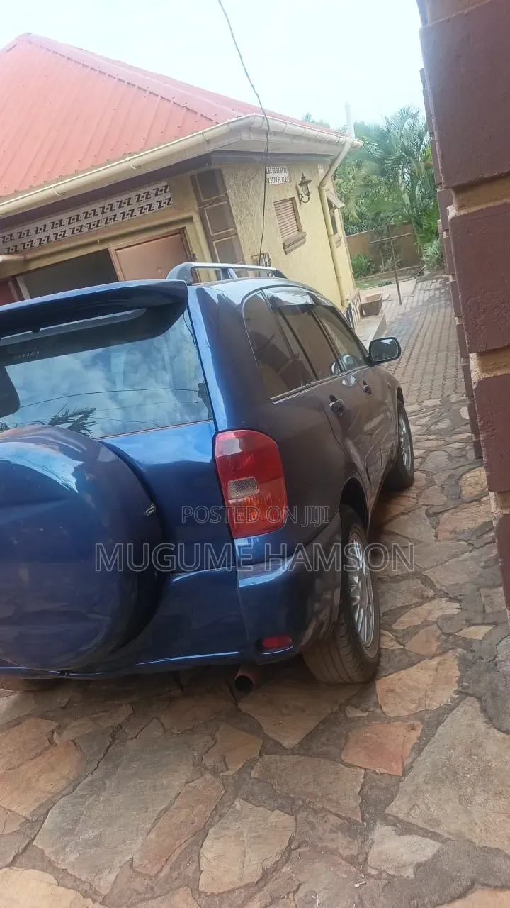 Toyota RAV4 2004 Blue
