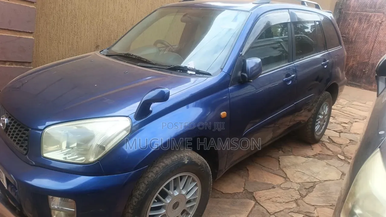 Toyota RAV4 2004 Blue