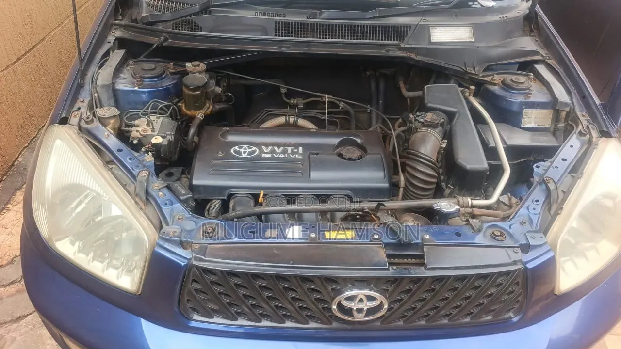 Toyota RAV4 2004 Blue