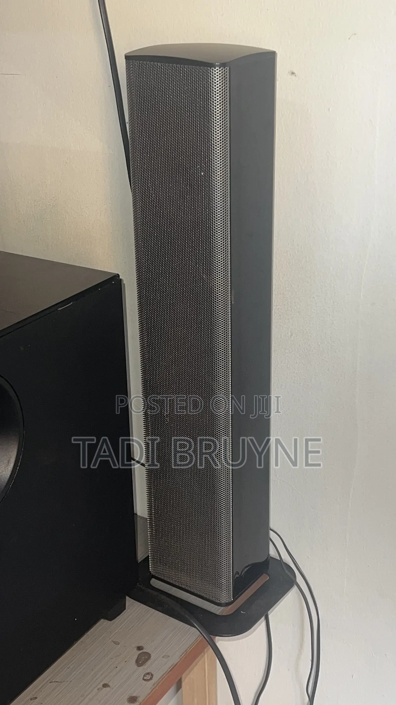 Sayona Speaker