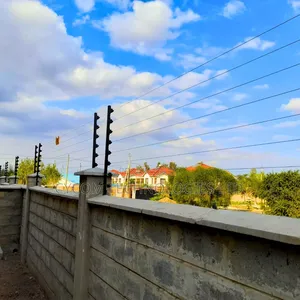 Wall Fence