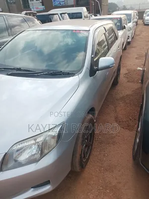 Toyota Corolla Fielder 2008 Silver