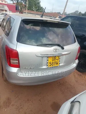 Toyota Corolla Fielder 2008 Silver