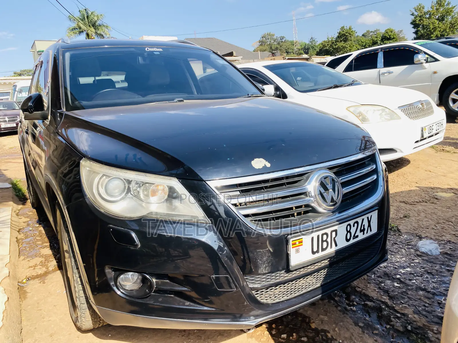 Volkswagen Tiguan 2013