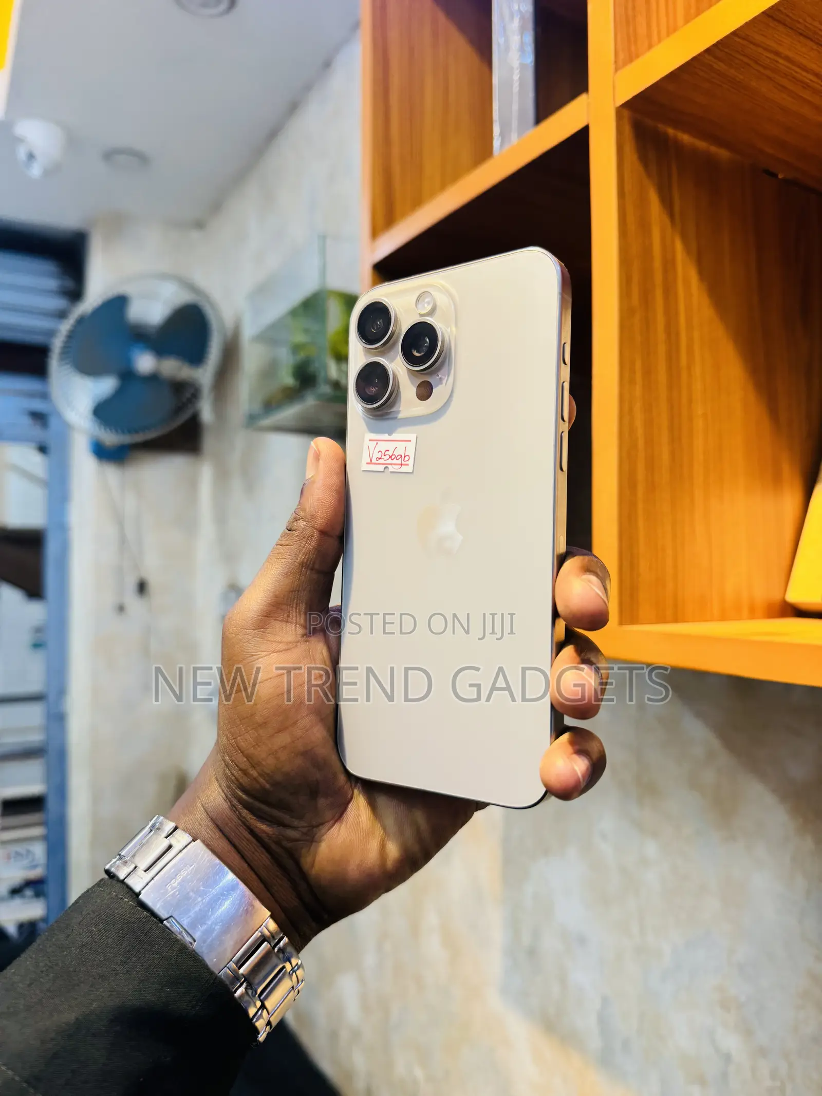 Apple iPhone 15 Pro Max 256 GB Silver