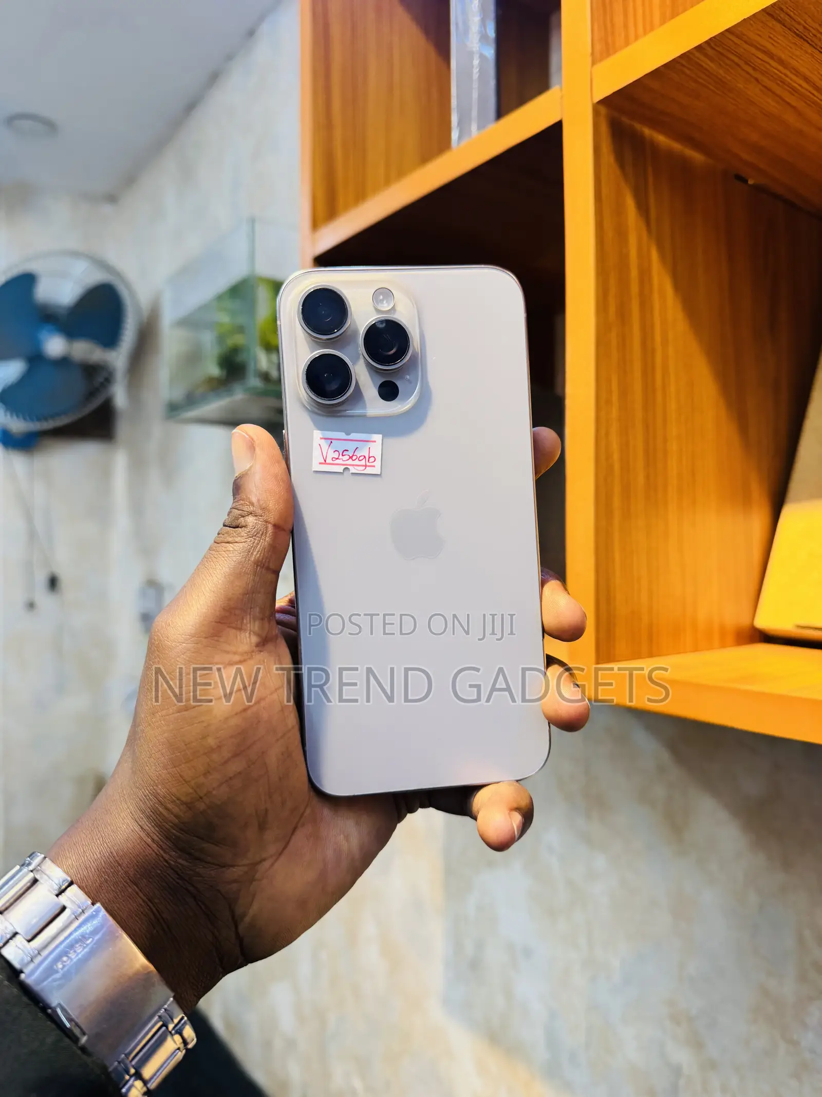 Apple iPhone 15 Pro Max 256 GB Silver