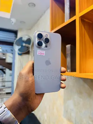 Apple iPhone 15 Pro Max 256 GB Silver