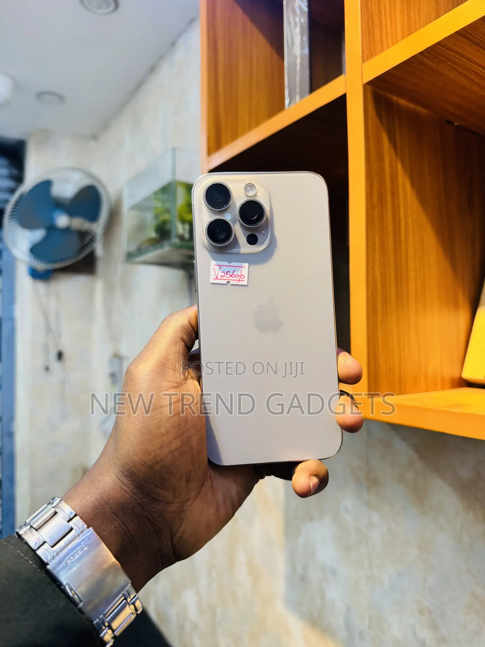 Apple iPhone 15 Pro Max 256 GB Silver