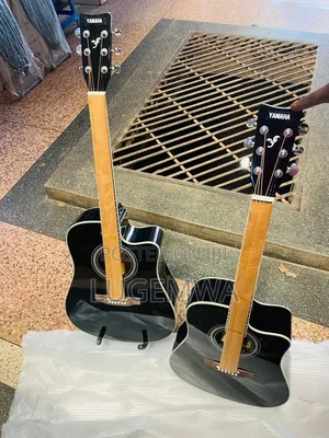 Acoustic Guitar