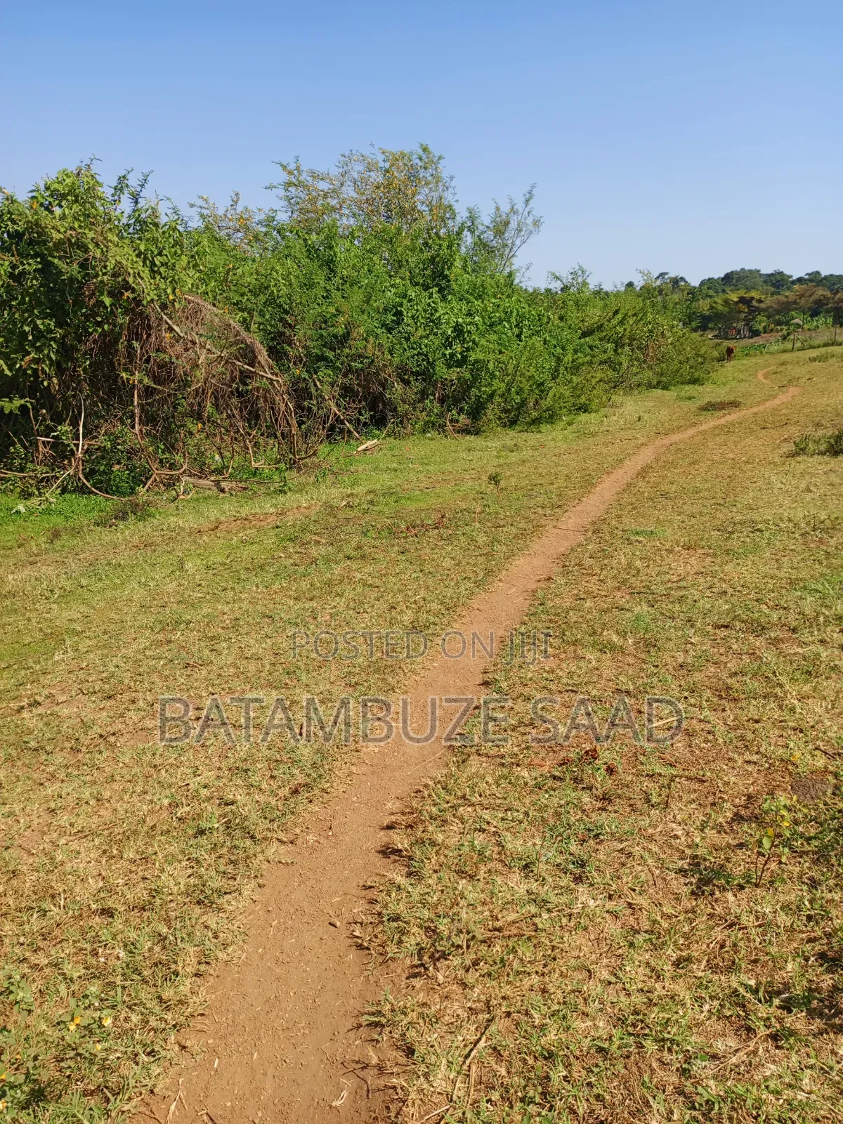 7 Acre for Sale on Lake Victoria Shores