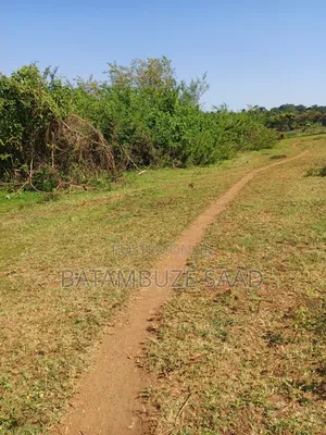 7 Acre for Sale on Lake Victoria Shores