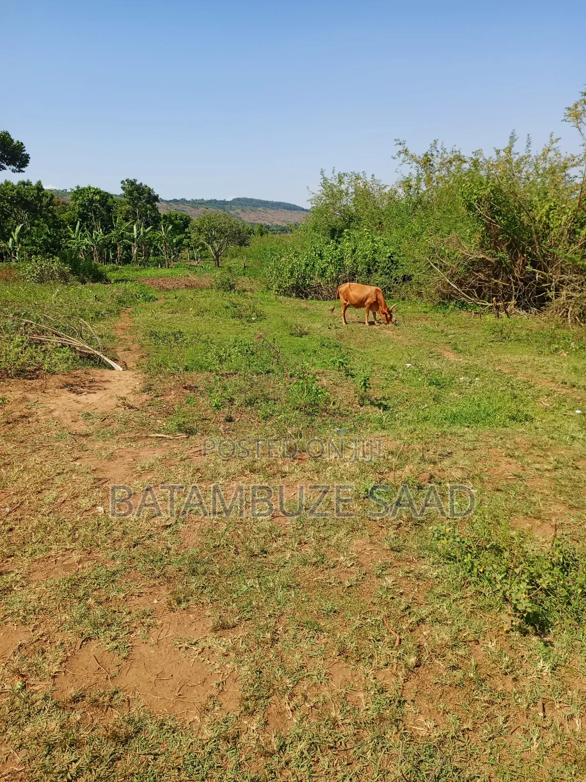 7 Acre for Sale on Lake Victoria Shores