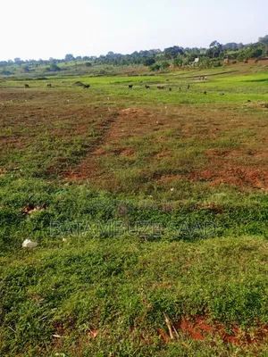 7 Acres for Sale in Mayuge District