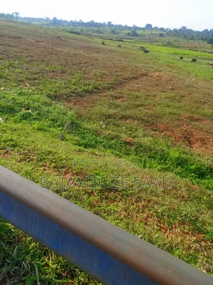 7 Acres for Sale in Mayuge District