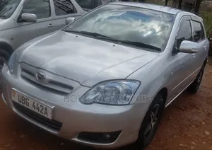 Toyota Corolla RunX 2006 Silver