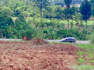 7 Acres on Jinja Kamuli Highway