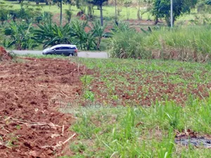 7 Acres on Jinja Kamuli Highway