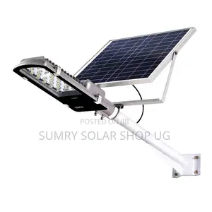100W ZL Solar Project Street Light
