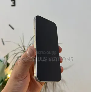 Apple iPhone 16 Pro Max 256 GB Gray