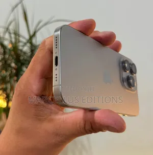 Apple iPhone 16 Pro Max 256 GB Gray